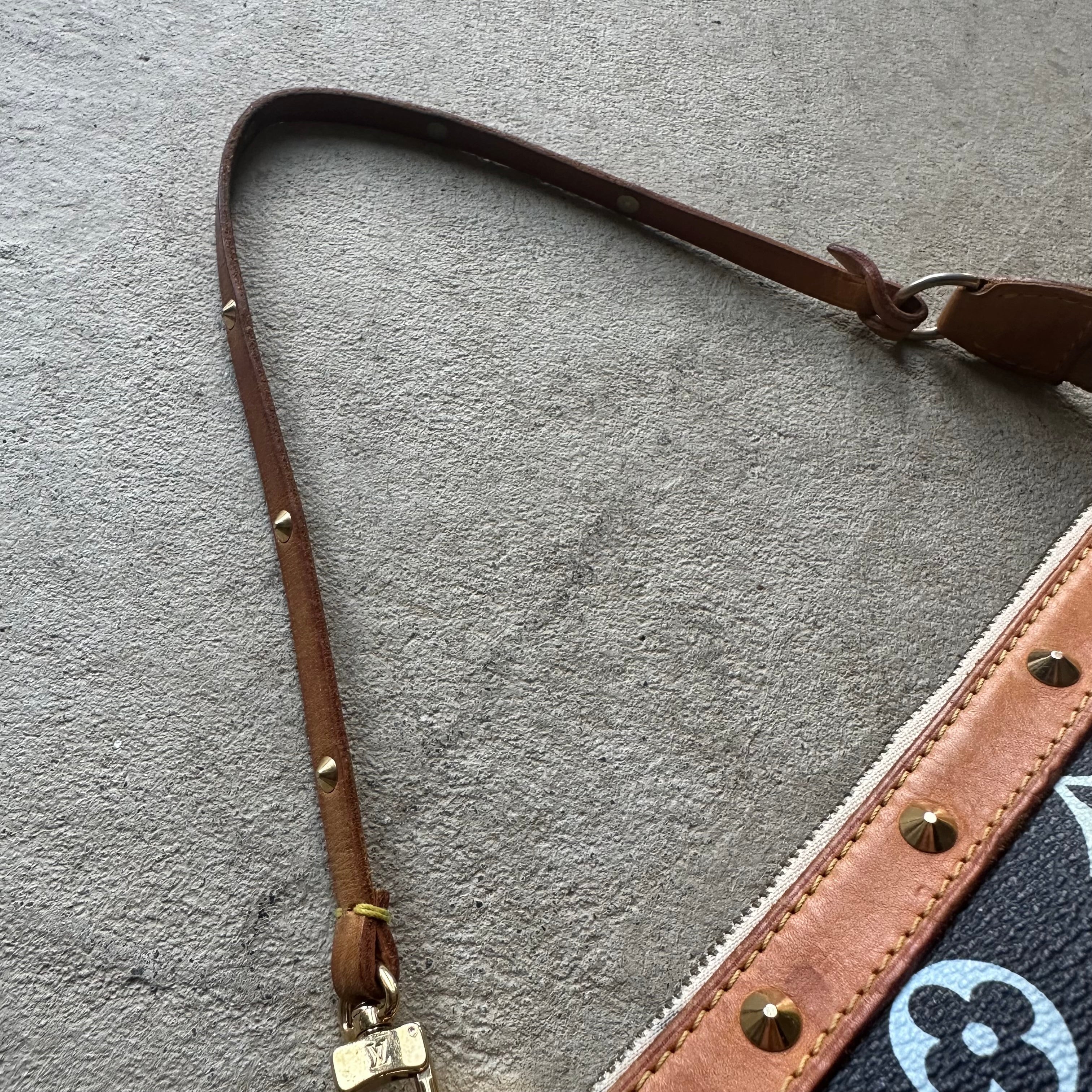 RARE! Louis Vuitton x Murakami Multicolor Pochette