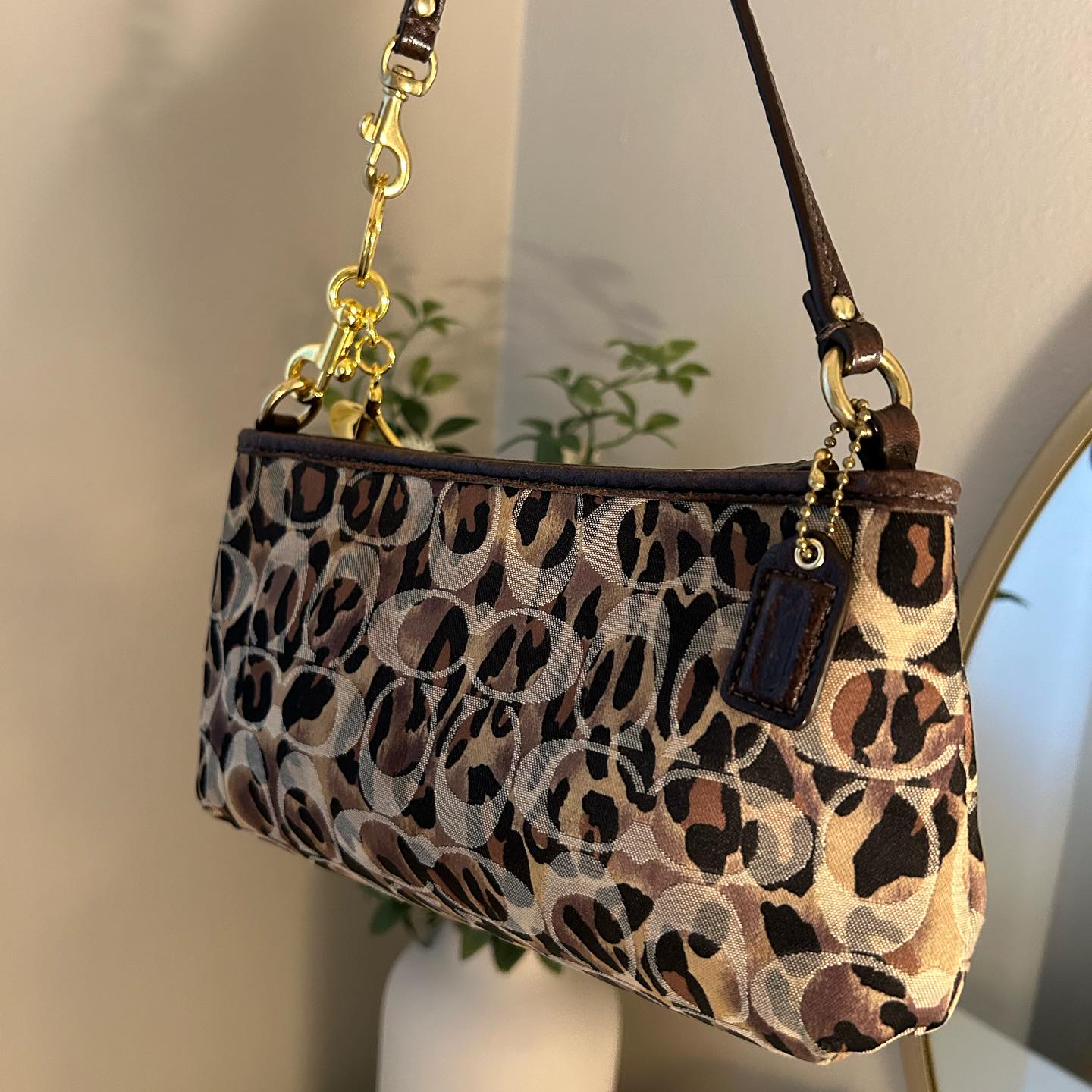 Leopard Print Bag