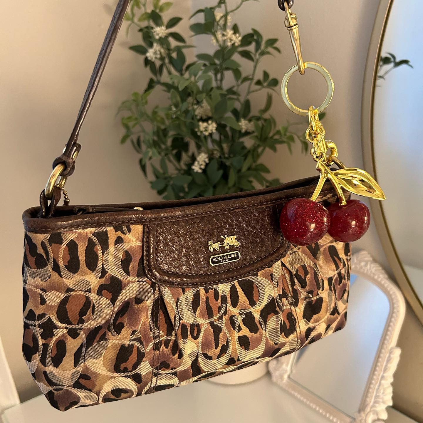 Leopard Print Bag