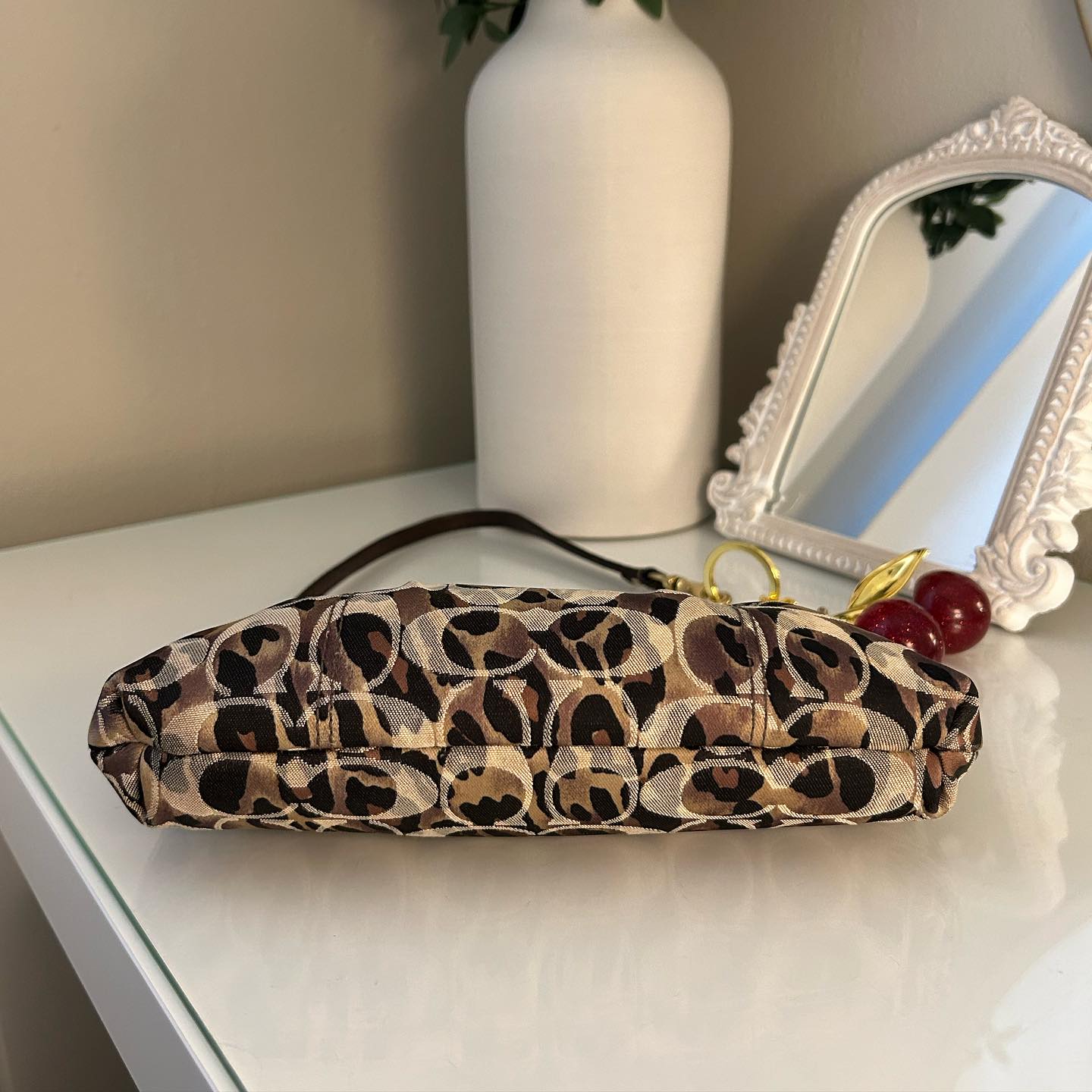 Leopard Print Bag