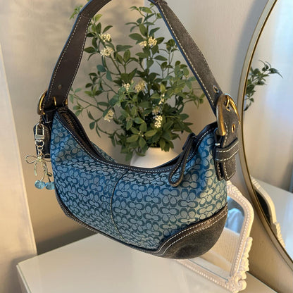 Blue Bag